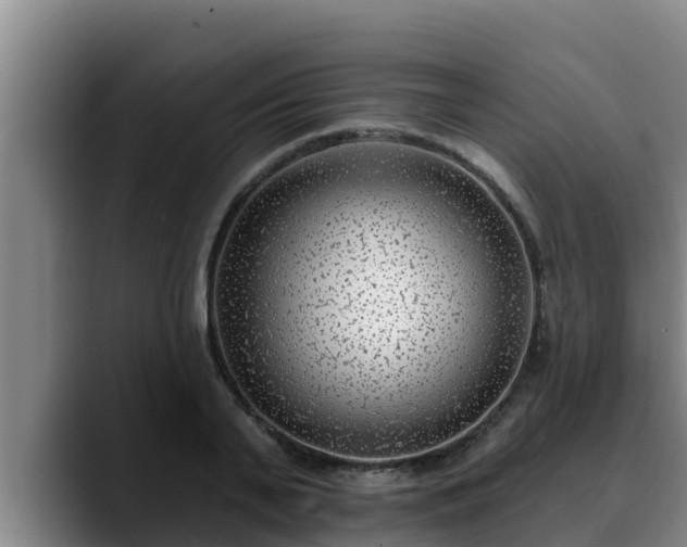 X0000090420791200707201117