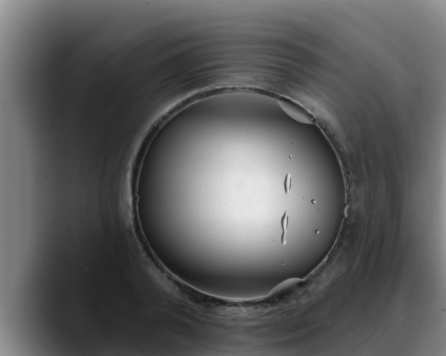 X0000090420792200707201117