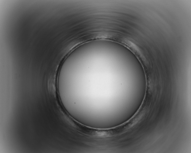 X0000090420794200707201117