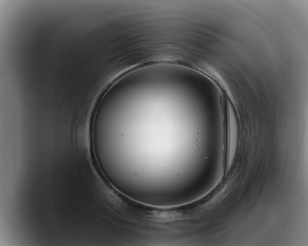 X0000090420795200707201117