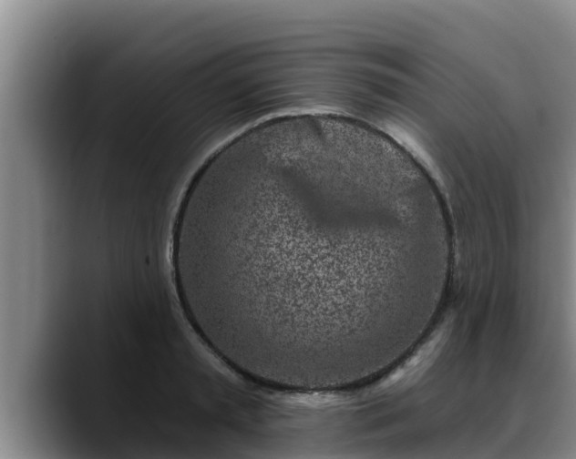 X0000090420797200707201117