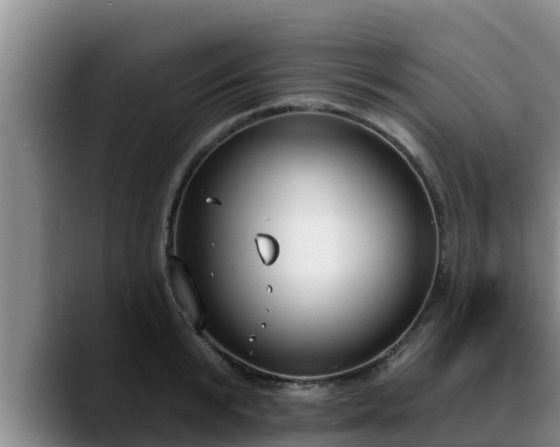 X0000090420799200707201117