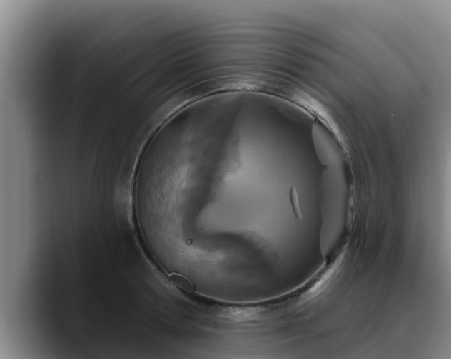 X0000090420802200707201117