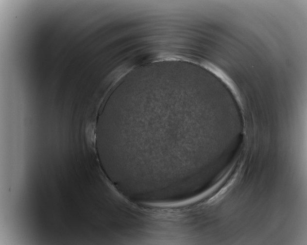 X0000090420809200707201117