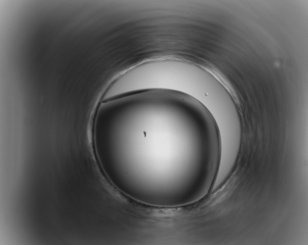 X0000090420813200707201117