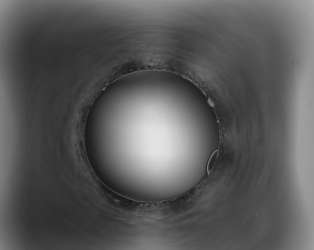 X0000090420817200707201116