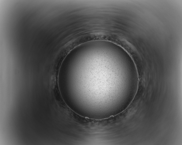 X0000090420821200707201116