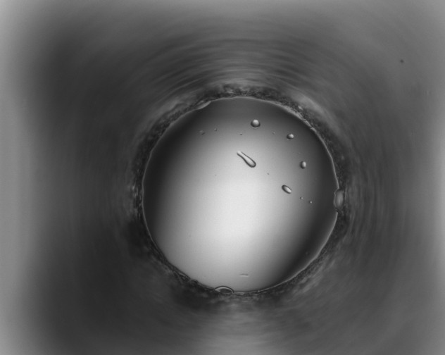 X0000090420822200707201116