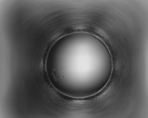 X0000090420825200707201116