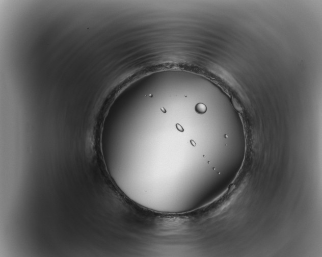 X0000090420826200707201116