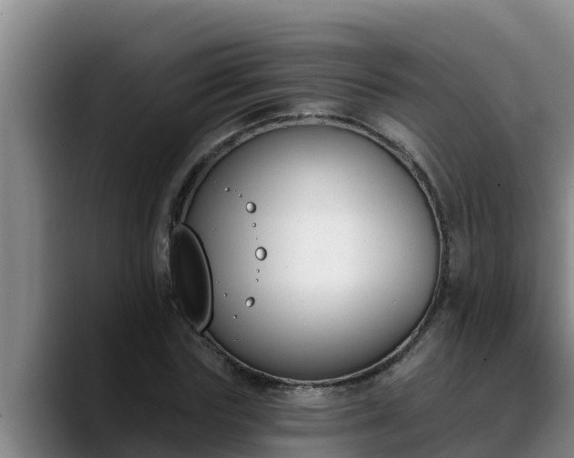 X0000090420827200707201116