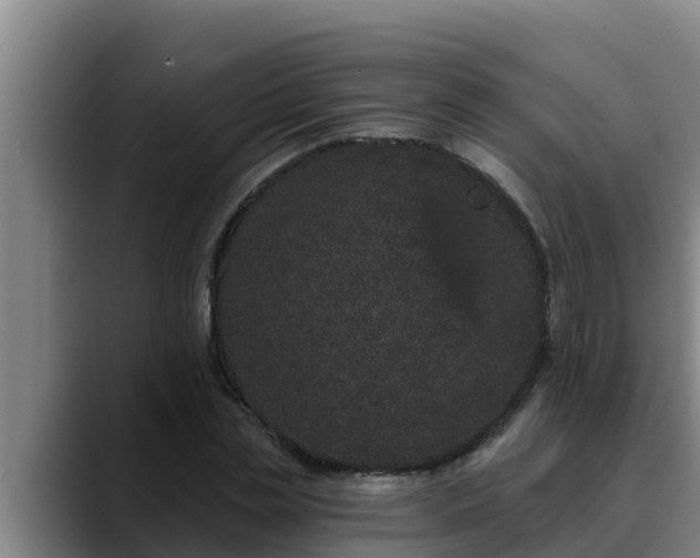 X0000090420829200707201116