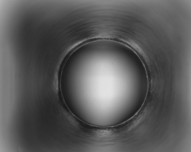 X0000090420838200707201117