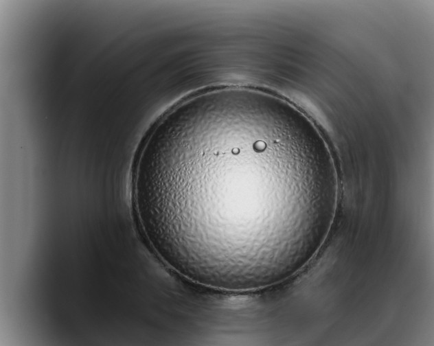 X0000090420839200707201117