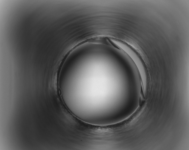 X0000090420842200707201117