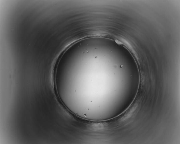 X0000090420843200707201117