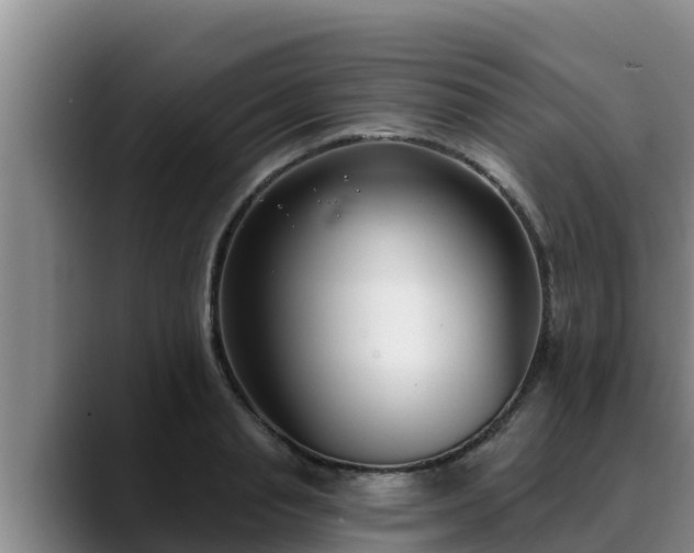 X0000090420845200707201117