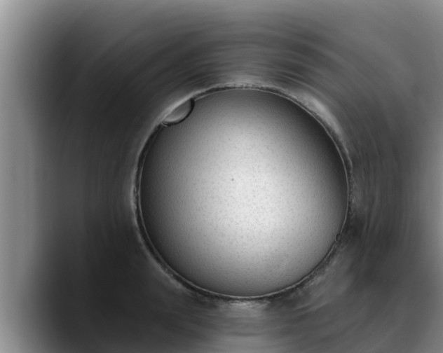 X0000090420847200707201117