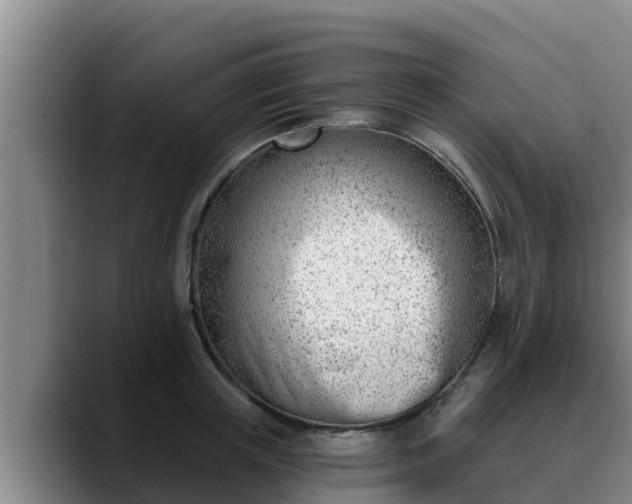 X0000090420851200707201117