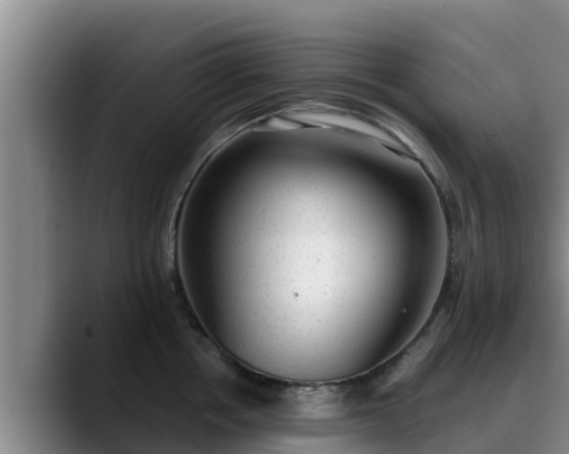 X0000090420858200707201117