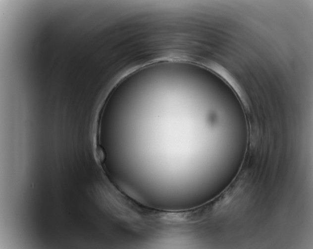 X0000090420861200707201117