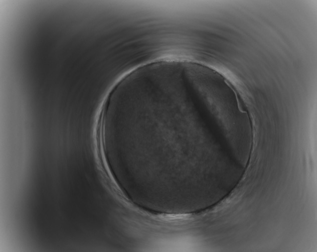 X0000090420864200707201117