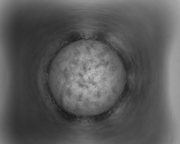 X0000090420865200707201116