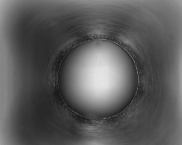 X0000090420870200707201116