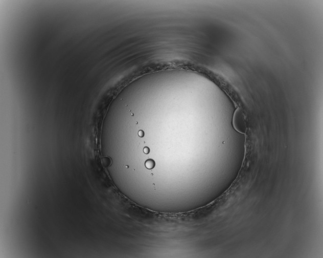 X0000090420871200707201116