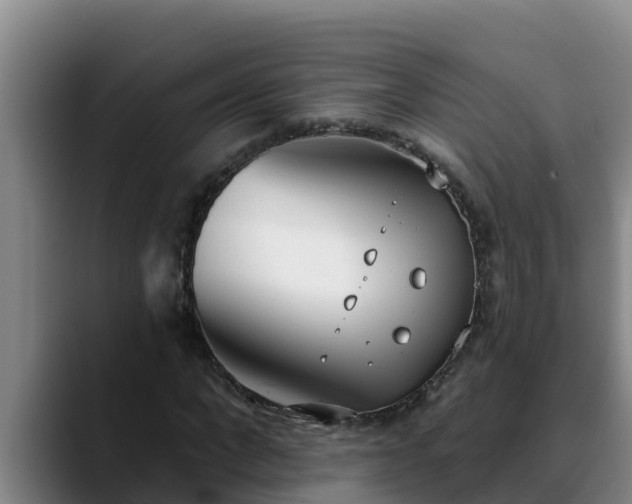 X0000090420872200707201116