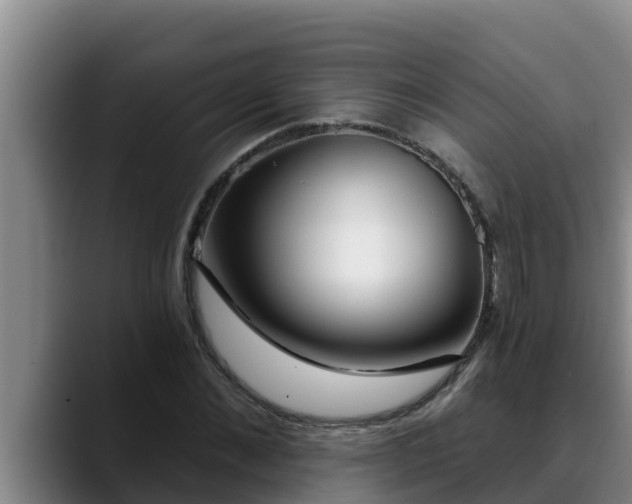 X0000090420876200707201116