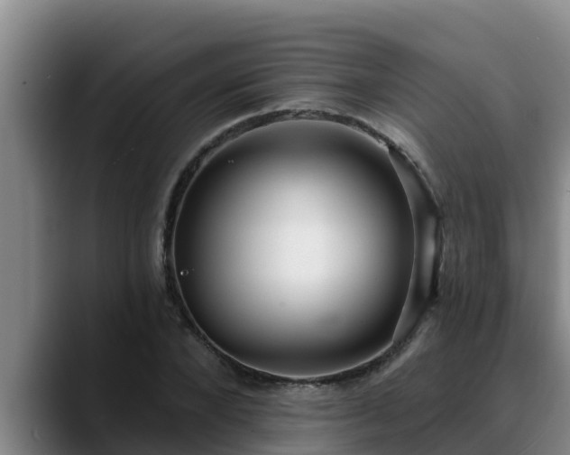 X0000090420880200707201116