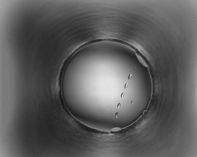 X0000090420885200707201116