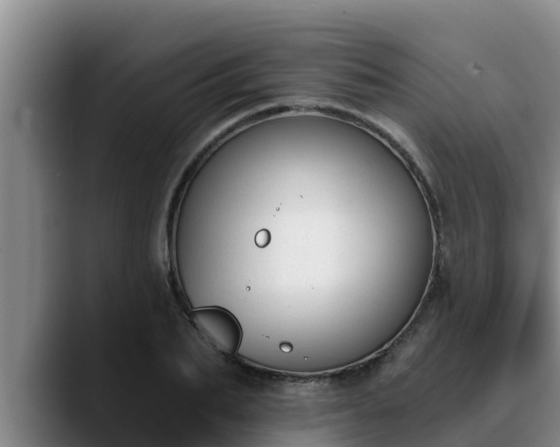 X0000090420887200707201116