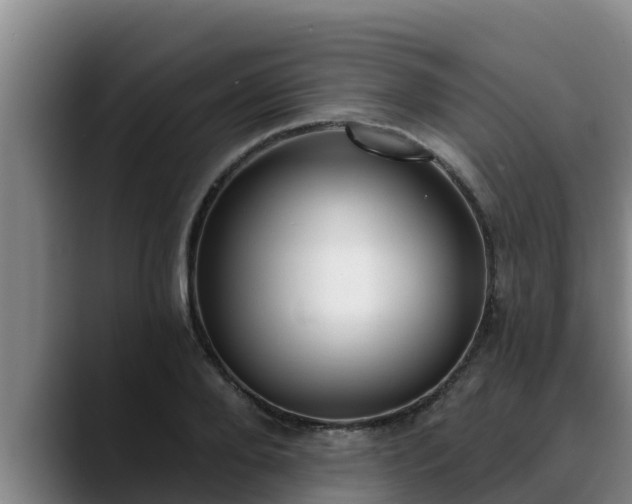 X0000090420888200707201116