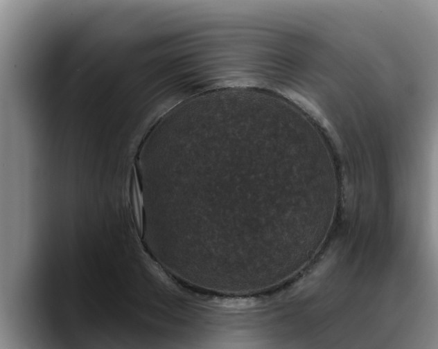 X0000090420889200707201116