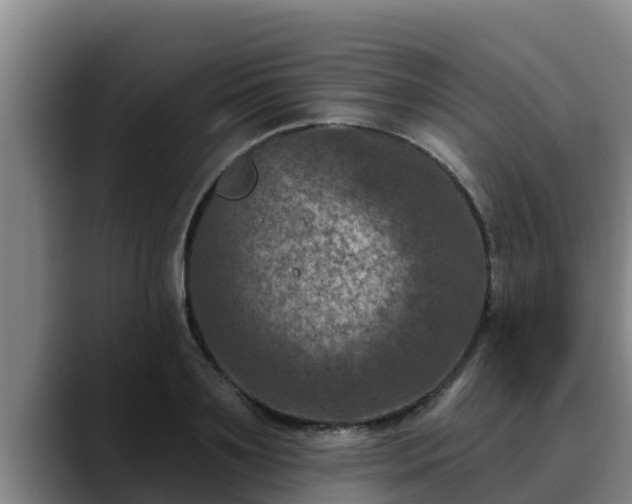 X0000090420891200707201116