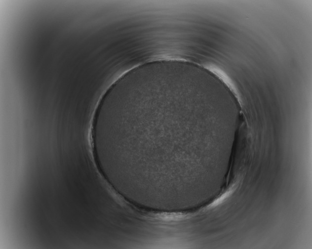 X0000090420893200707201116