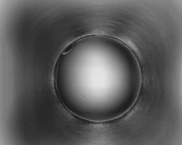 X0000090420896200707201116