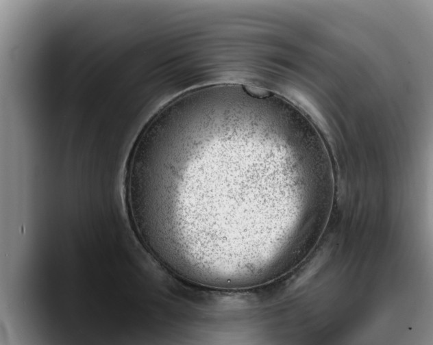 X0000090420899200707201116