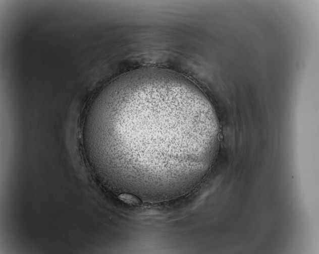 X0000090420913200707201115