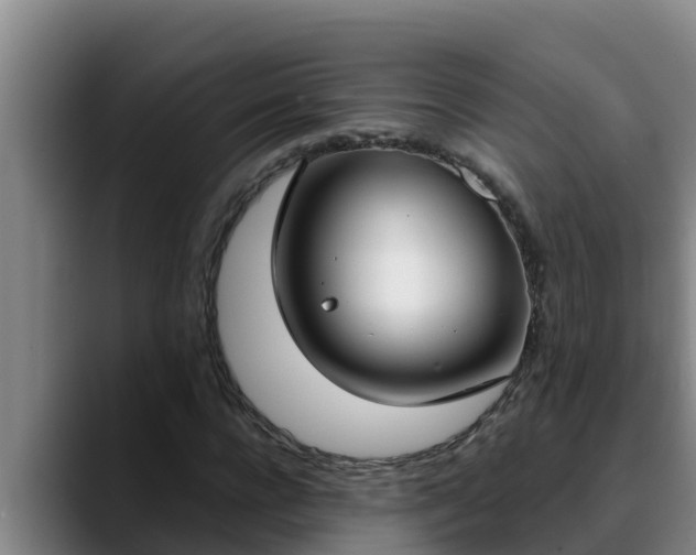 X0000090420920200707201115