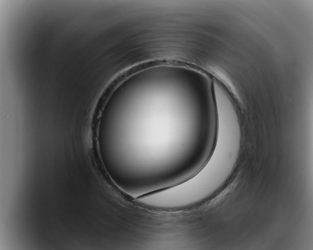 X0000090420924200707201115