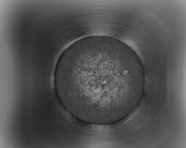 X0000090420928200707201115