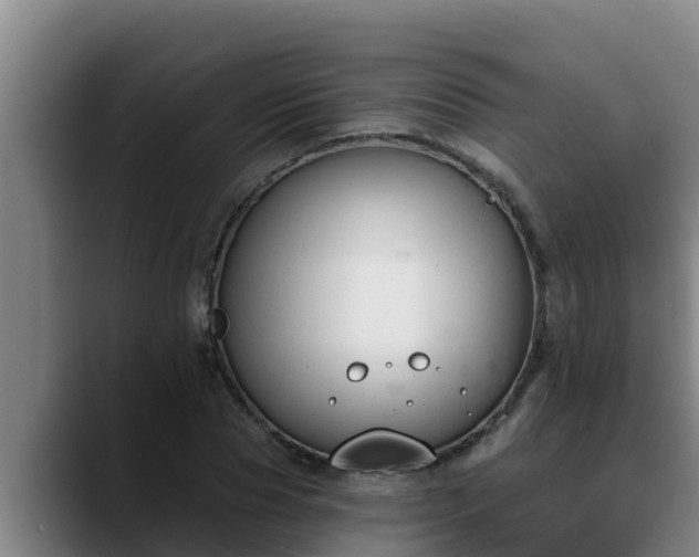 X0000090420929200707201115