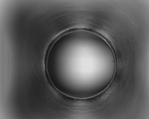 X0000090420935200707201115