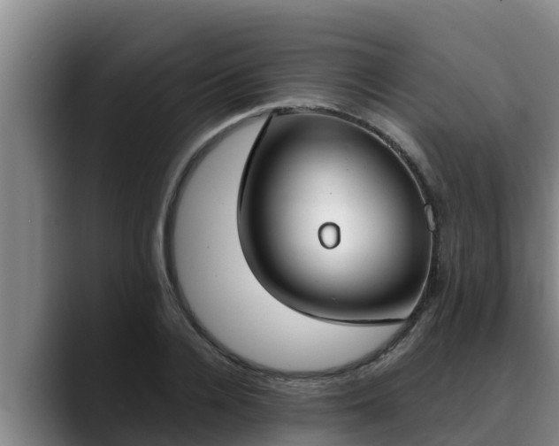 X0000090420936200707201115