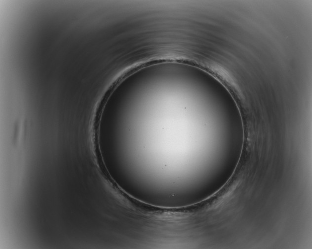 X0000090420942200707201116