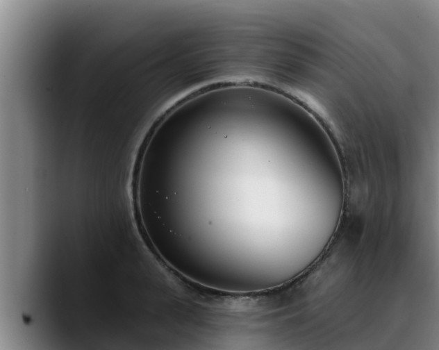 X0000090420943200707201116