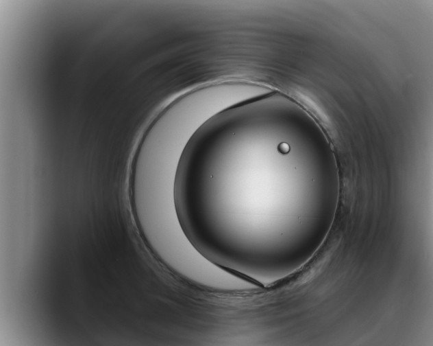 X0000090420948200707201116